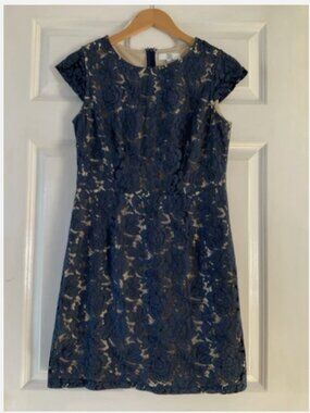 True Decadence Navy Blue Lace Dress